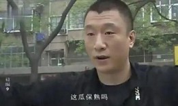 征服电视剧在线观看,帝国崛起的传奇征程